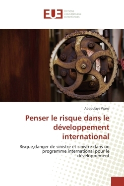 Penser le risque dans le développement international - Image principale