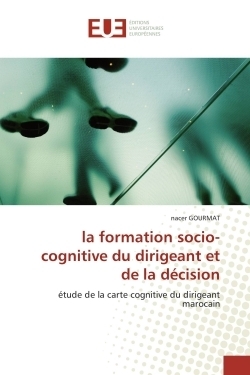 La formation socio-cognitive du dirigeant et de la décision - Image principale