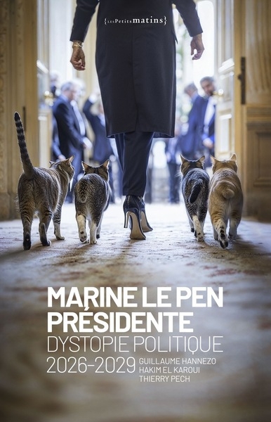 Marine le pen présidente - dystopie politique 2026-2029 - Image principale