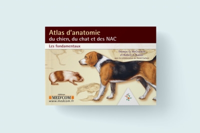 Atlas d'anatomie du chien du chat et des nac les fondamentaux - Image principale