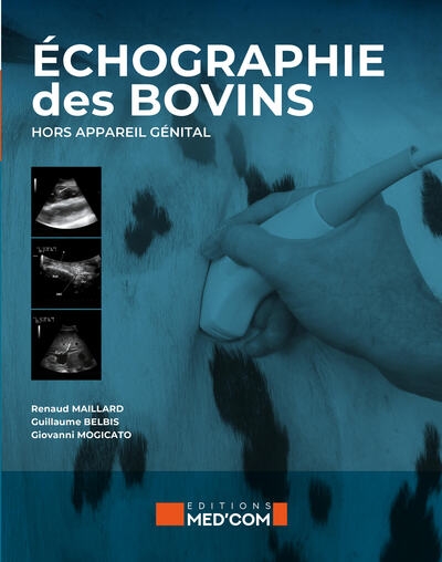 Echographie des bovins hors appareil génital - Image principale