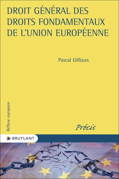Droit général des droits fondamentaux de l'union européenne - Image principale