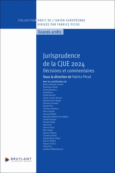 Jurisprudence de la cjue 2024 - décisions et commentaires - Image principale