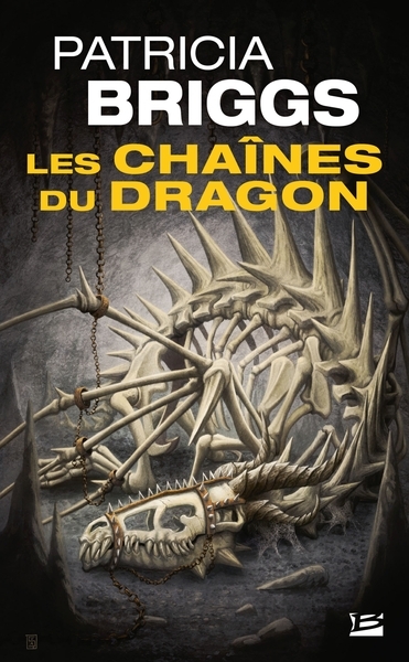 Hurog, t1 : les chaînes du dragon - Image principale