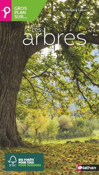 Gros plan sur... les arbres - Image principale