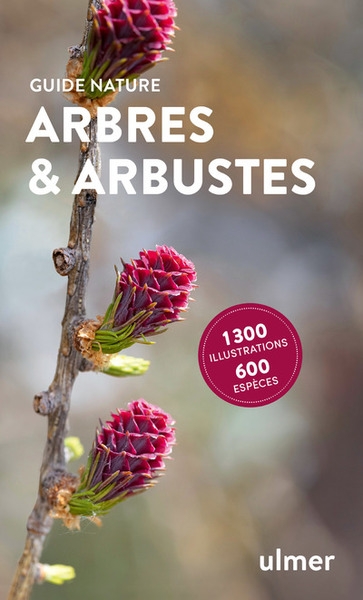 Arbres et arbustes - Image principale