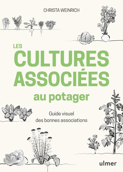 Les cultures associées au potager - guide visuel des bonnes associations - Image principale