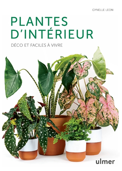 Plantes d'intérieur - déco et faciles à vivre - Image principale