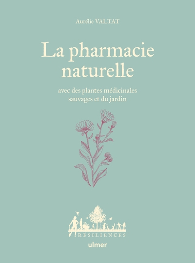 La pharmacie naturelle - avec des plantes médicinales sauvages et du jardin - Image principale