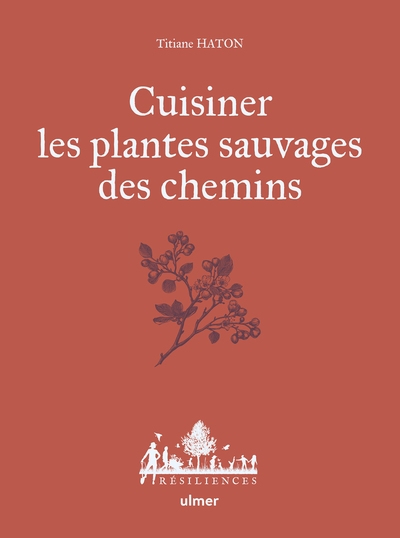 Cuisiner les plantes sauvages des chemins - Image principale
