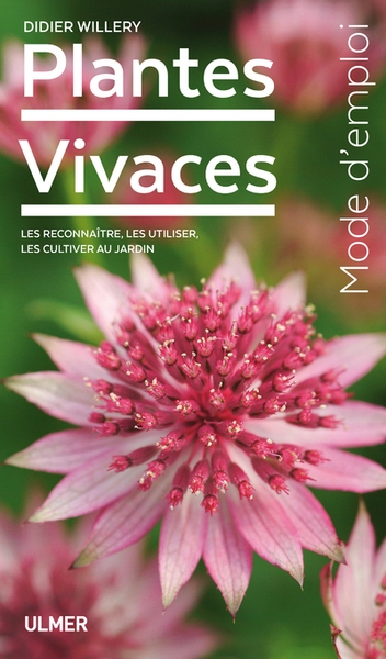 Plantes vivaces - Image principale