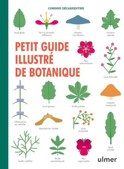 Petit guide illustré de botanique - Image principale