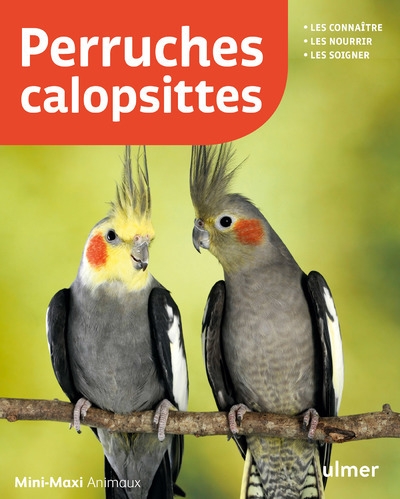 Perruches calopsittes - Image principale