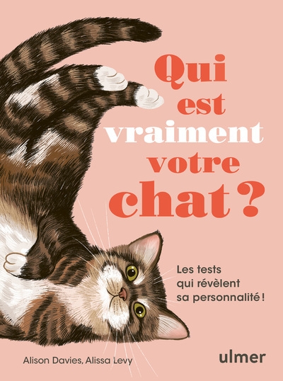 Qui est vraiment votre chat ? - les tests qui révèlent sa personnalité ! - Image principale