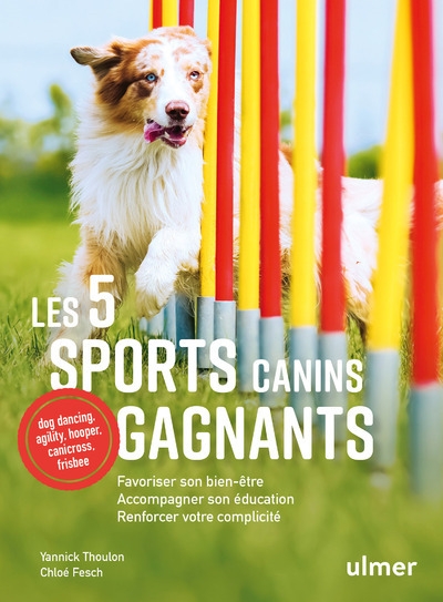 Les 5 sports canins gagnants - Image principale