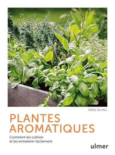Plantes aromatiques - comment les cultiver et les entretenir facilement - Image principale