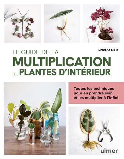 Le guide de la multiplication des plantes d'intérieur - toutes les techniques pour en prendre soin et les multiplier à l'infini - Image principale