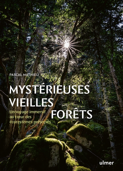 Mystérieuses vieilles forêts - un voyage immersif au coeur des écosystèmes préservés - Image principale