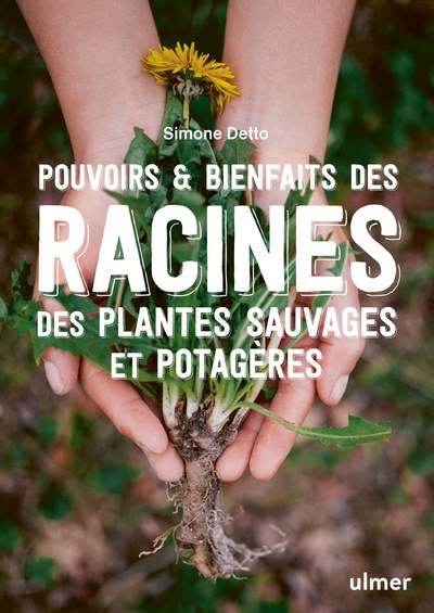 Pouvoirs & bienfaits des racines des plantes sauvages et potagères - Image principale