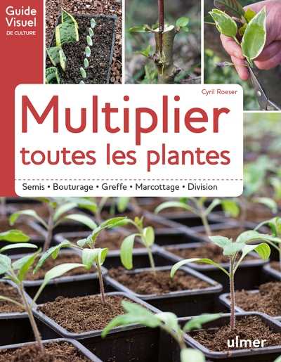 Multiplier toutes les plantes - semis, bouturage, greffe, marcottage, division - Image principale
