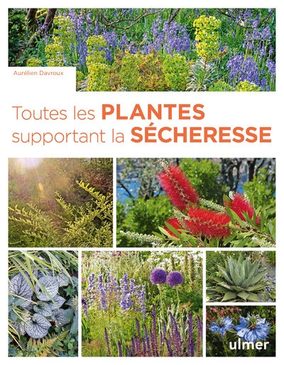 Toutes les plantes supportant la sécheresse - Image principale