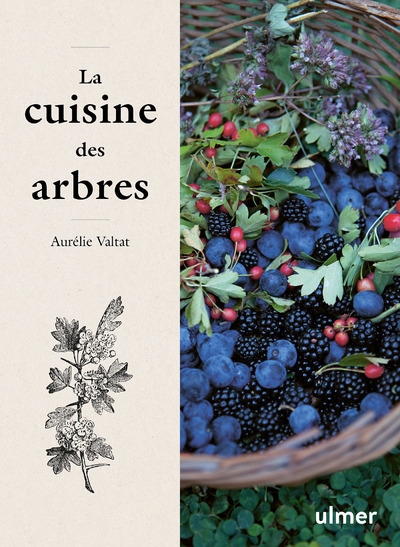 La cuisine des arbres - Image principale
