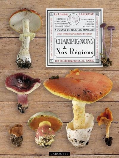 Champignons de nos régions - Image principale