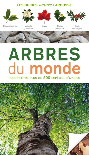 Arbres du monde - Image principale