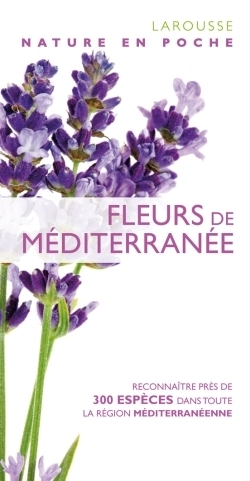 Fleurs de méditerranée - nouvelle présentation - Image principale