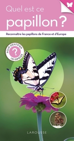 Quel est ce papillon ? - Image principale