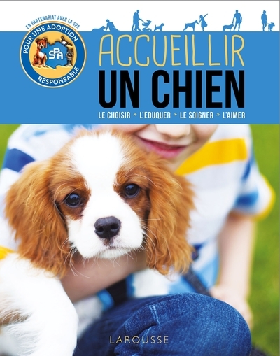 Accueillir un chien - Image principale
