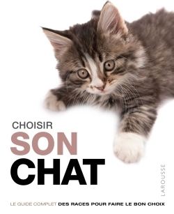 Choisir son chat - Image principale