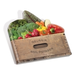 Réussir son potager (panier de légumes) - Image principale