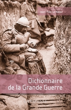 Dictionnaire de la grande guerre - Image principale