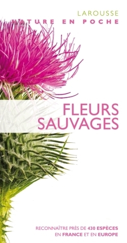 Fleurs sauvages - nouvelle présentation - Image principale
