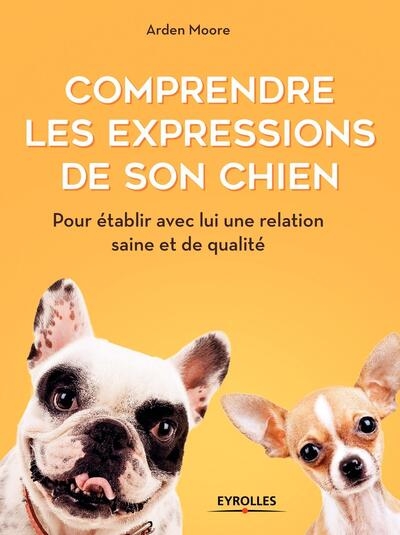 Comprendre les expressions de son chien - Image principale