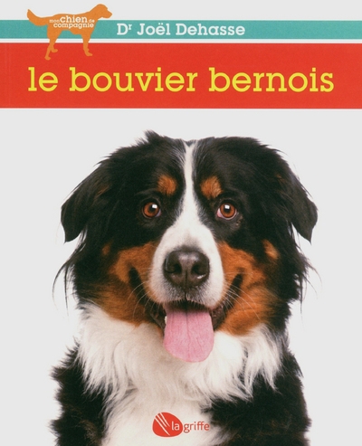 Le bouvier bernois ne - Image principale
