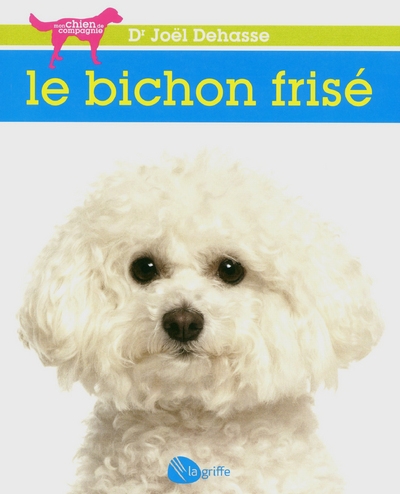 Le bichon frisé ne - Image principale