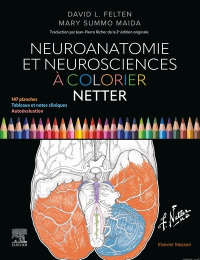 Neuroanatomie et neurosciences à colorier netter - Image principale