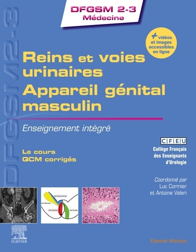 Reins et voies urinaires - appareil génital masculin - Image principale