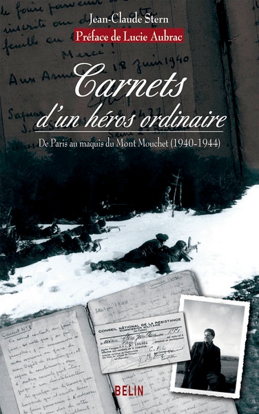 Carnets d'un héros ordinaire - Image principale