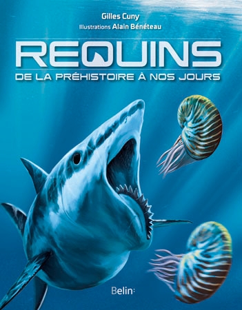 Requins - Image principale