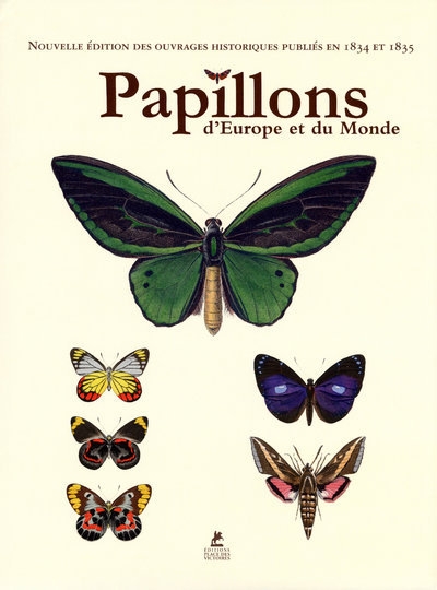 Papillons d'europe et du monde - Image principale