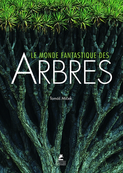 Le monde fantastique des arbres - Image principale