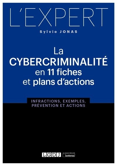 La cybercriminalité en 11 fiches et plans d'actions - Image principale