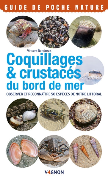 Coquillages & crustacés du bord de mer - observer et reconnaître 50 espèces de notre littoral - Image principale