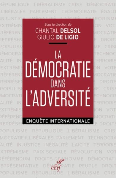 La democratie dans l'adversite - Image principale