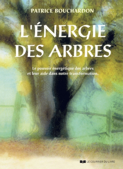 L'énergie des arbres - le pouvoir énergétique des arbres et leur aide dans notre transformation - Image principale