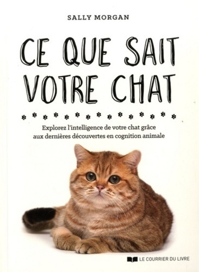 Ce que sait votre chat - Image principale