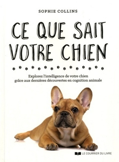 Ce que sait votre chien - Image principale